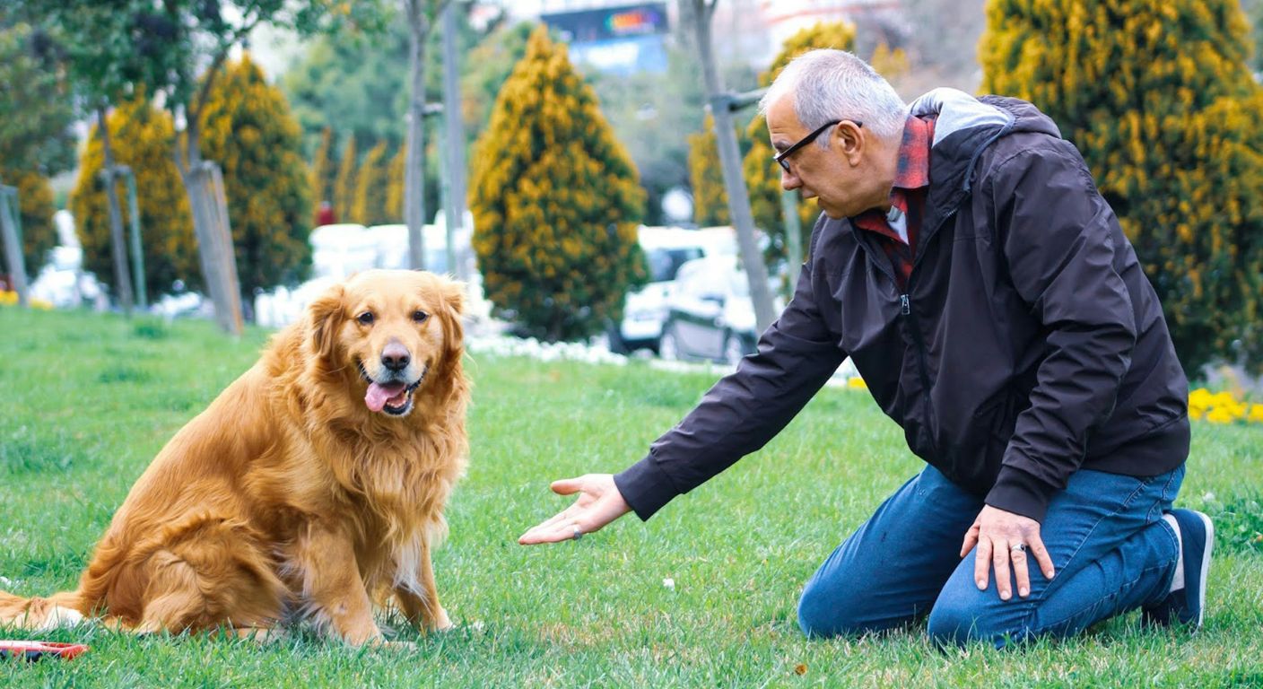 Dogs‘ outdoor needs