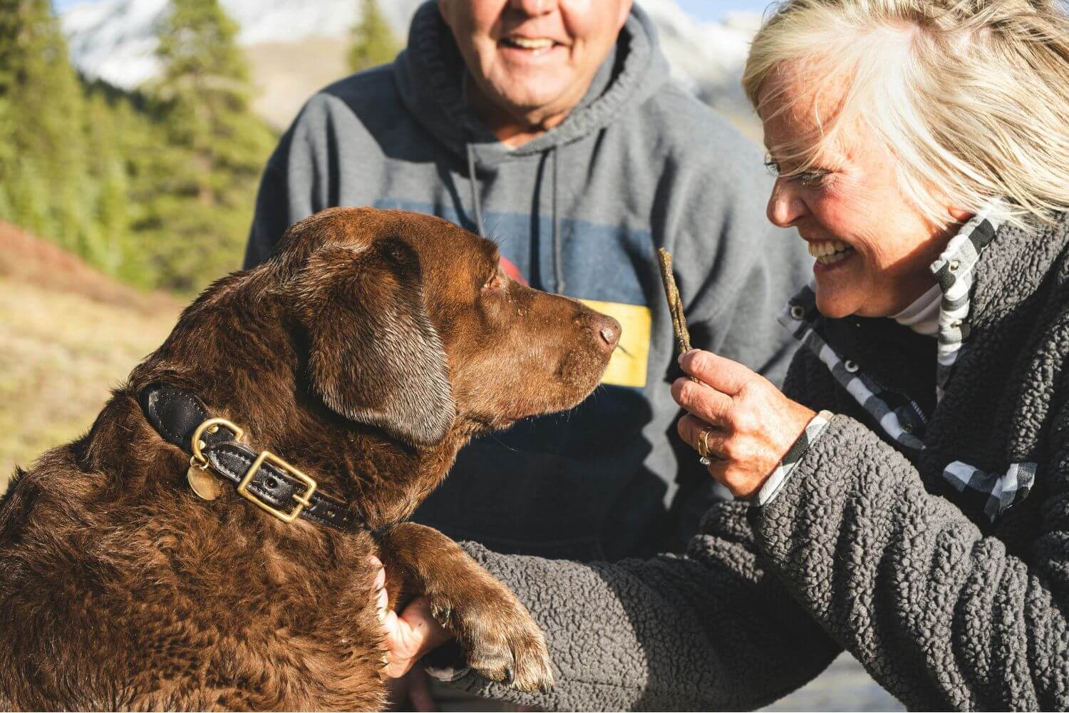 Best Pets for Seniors That Are Easy to Care For